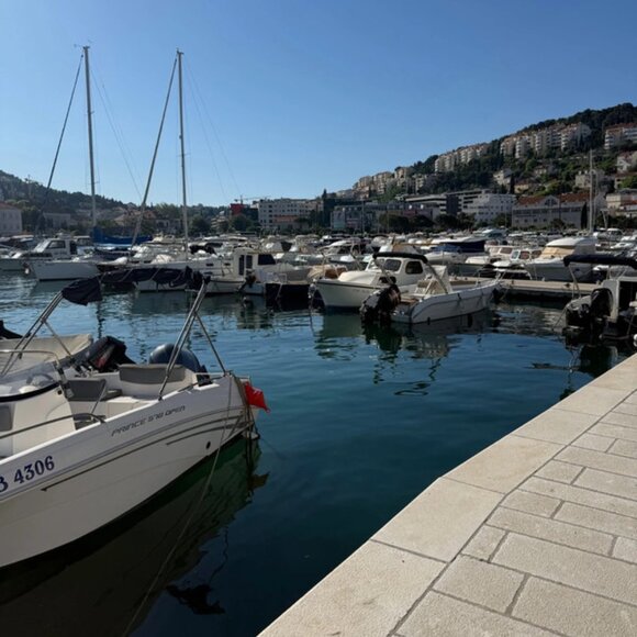 Meet your Posher, Morgan - Picture 1 of 1